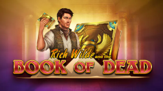 Book of Dead, Play'n-GO-Slot